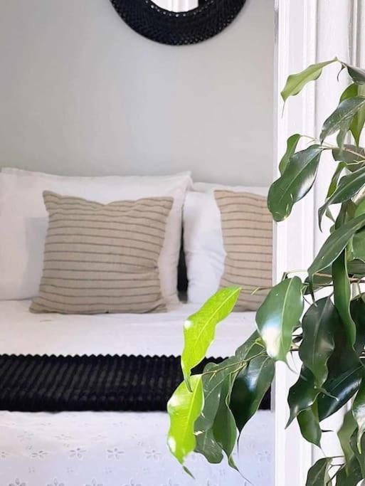 Ammoudara Apartment'S Kálymnos المظهر الخارجي الصورة
